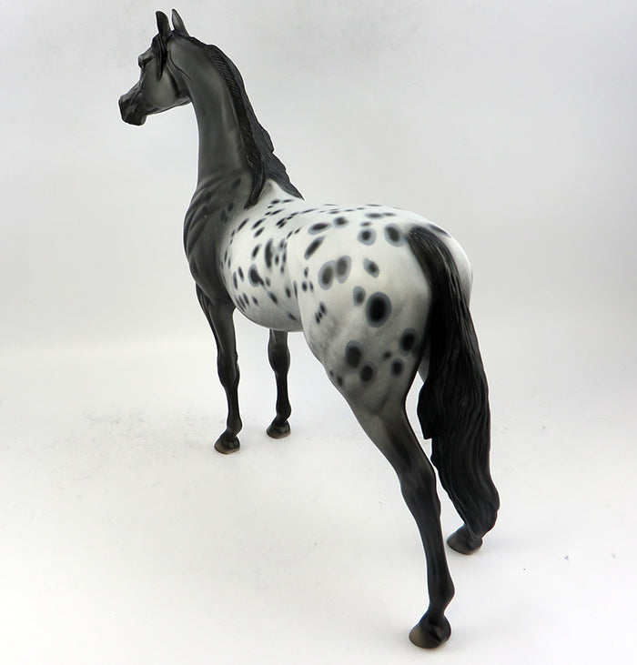 Appaloosa