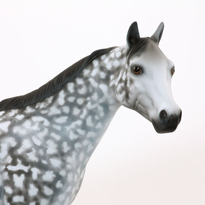 DREAM WEAVER FEVER - OOAK GREY STAR DAPPLED STOCK HORSE