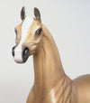 ARABIAN 