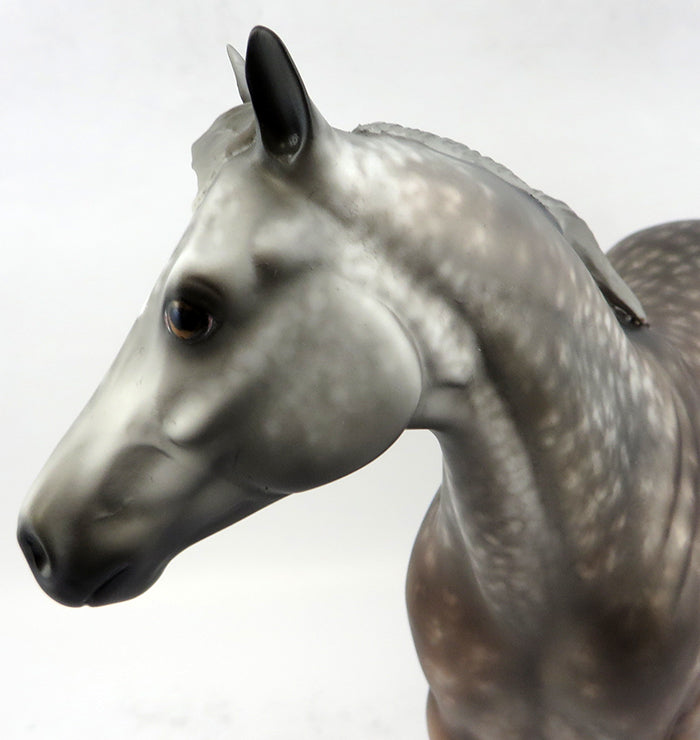 GASPAR-STAR DAPPLE ROSE GREY ISH MODEL HORSE BY SHERYL LEISURE 12/13