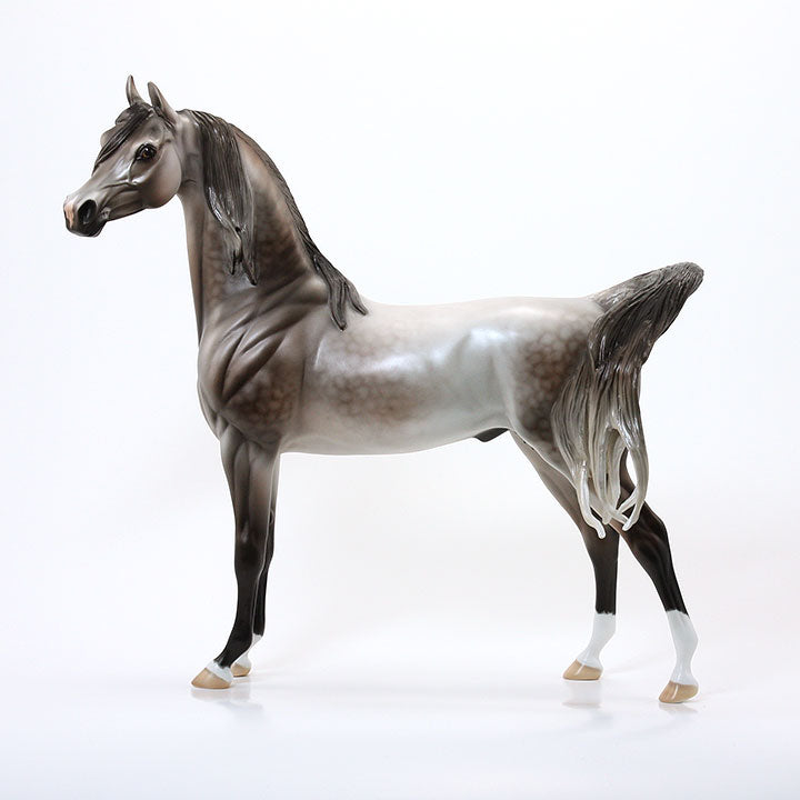 MR. MARVELOUS - OOAK Dapple Rose Grey Arabian Signed By Carrie Keller 6/15