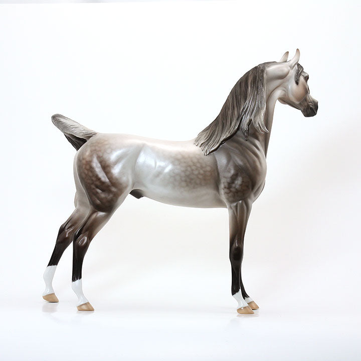 MR. MARVELOUS - OOAK Dapple Rose Grey Arabian Signed By Carrie Keller 6/15