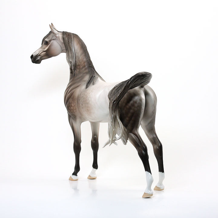 MR. MARVELOUS - OOAK Dapple Rose Grey Arabian Signed By Carrie Keller 6/15