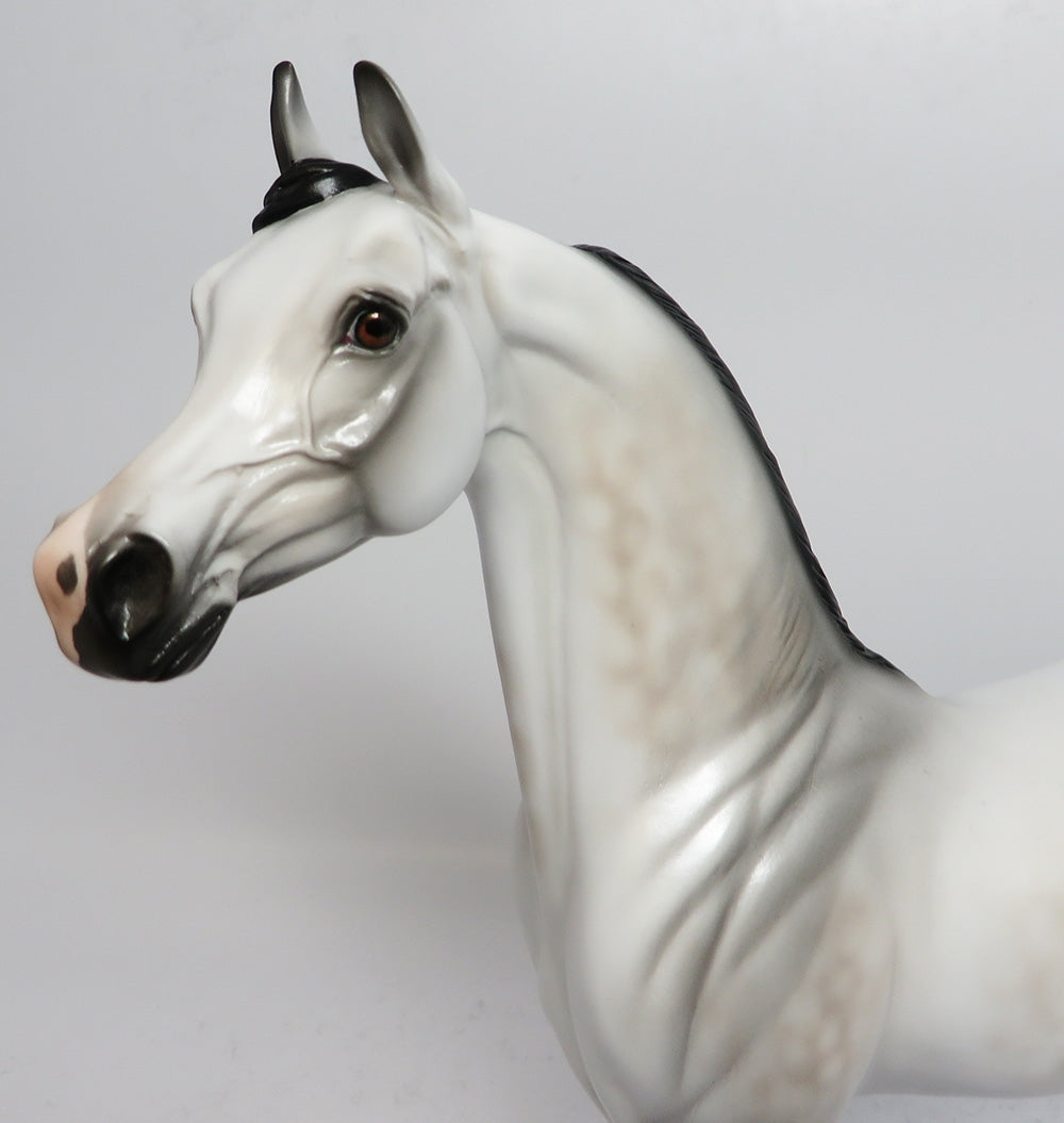 GABRIEL-LE-5 DAPPLE GREY ARABIAN MODEL HORSE WHS 2017