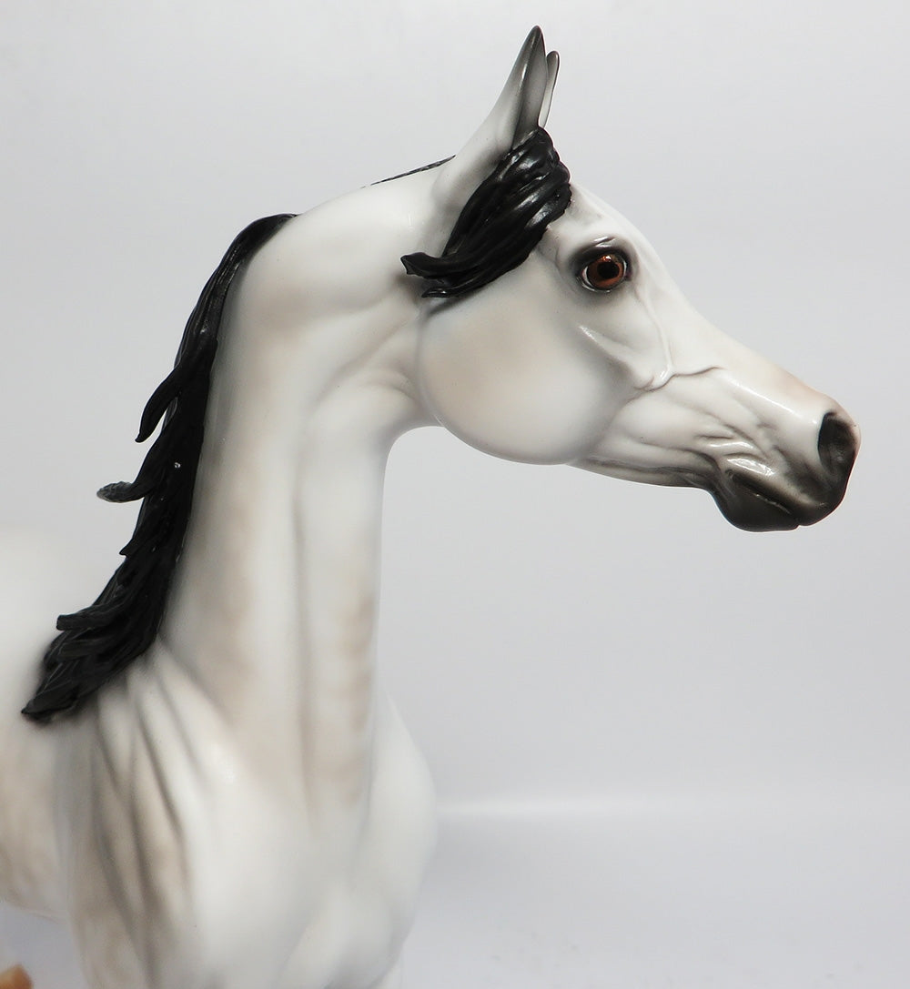 GABRIEL-LE-5 DAPPLE GREY ARABIAN MODEL HORSE WHS 2017