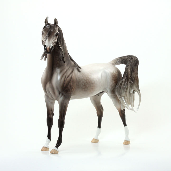 MR. MARVELOUS - OOAK Dapple Rose Grey Arabian Signed By Carrie Keller 6/15