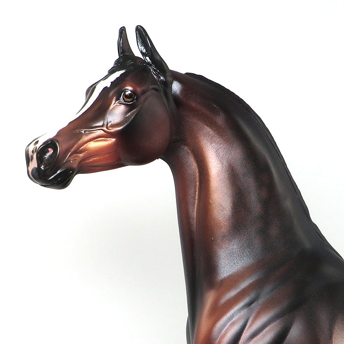 THE GLADIATOR - OOAK DAPPLED BAY ARABIAN MODEL HORSE - 1/14
