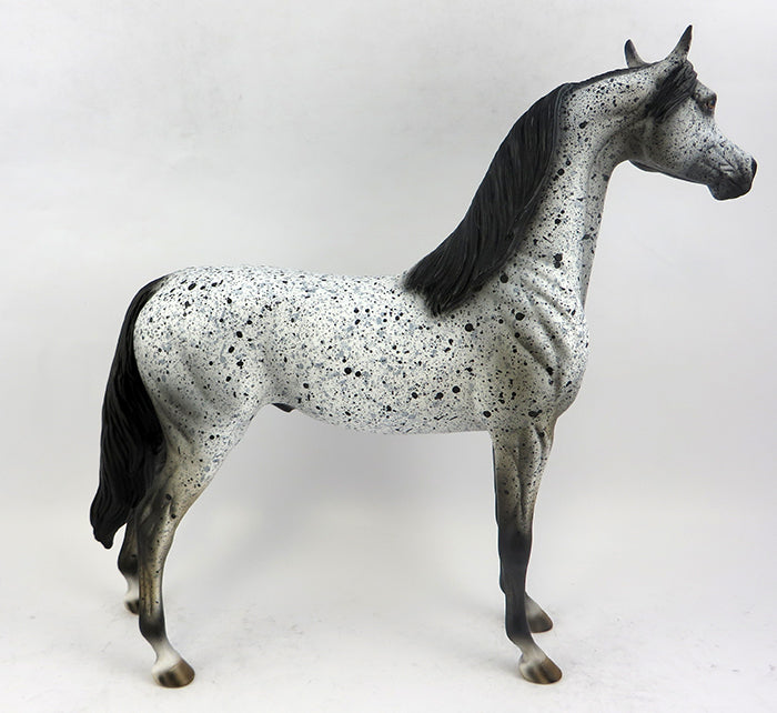 appaloosa