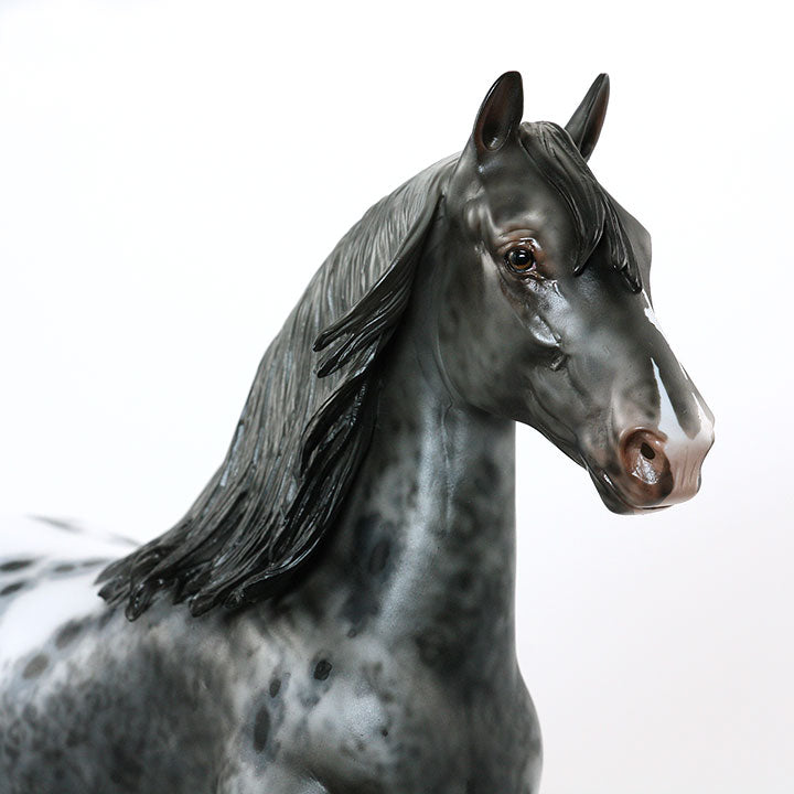 BEST SPOTS ON EARTH - OOAK Gray Appaloosa Trotting Drafter
