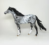 Mustang Horse