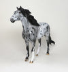Appaloosa