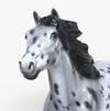 Spanish Mustang