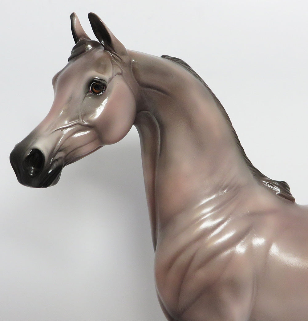SILVER MIST-OOAK CUSTOM ROSE GREY ARABIAN WHS 2017