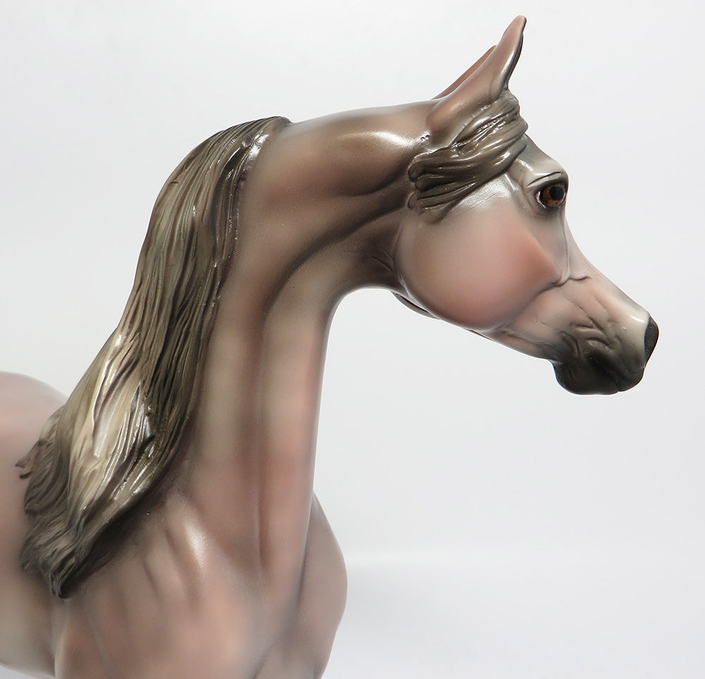 SILVER MIST-OOAK CUSTOM ROSE GREY ARABIAN WHS 2017
