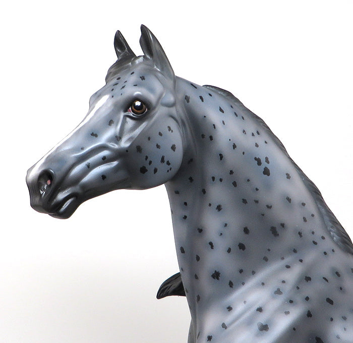 GREYLEY - OOAK APPALOOSA MORGAN MODEL HORSE - 2/12
