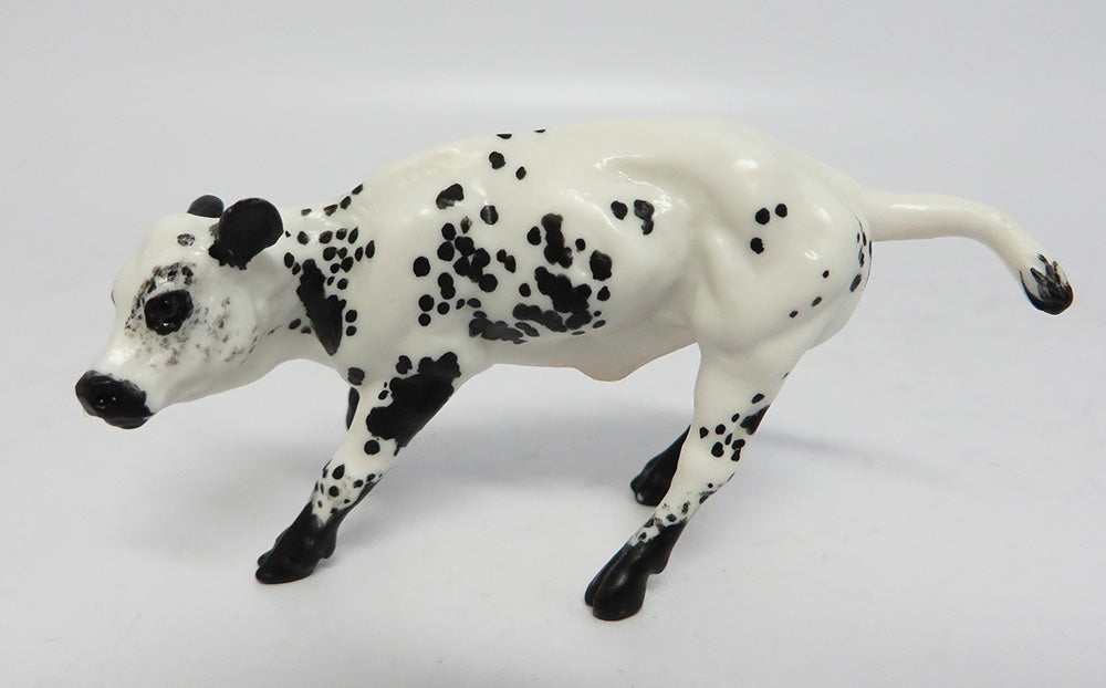 RAIDER-OOAK BLACK SPECKLED COW WHS 2017
