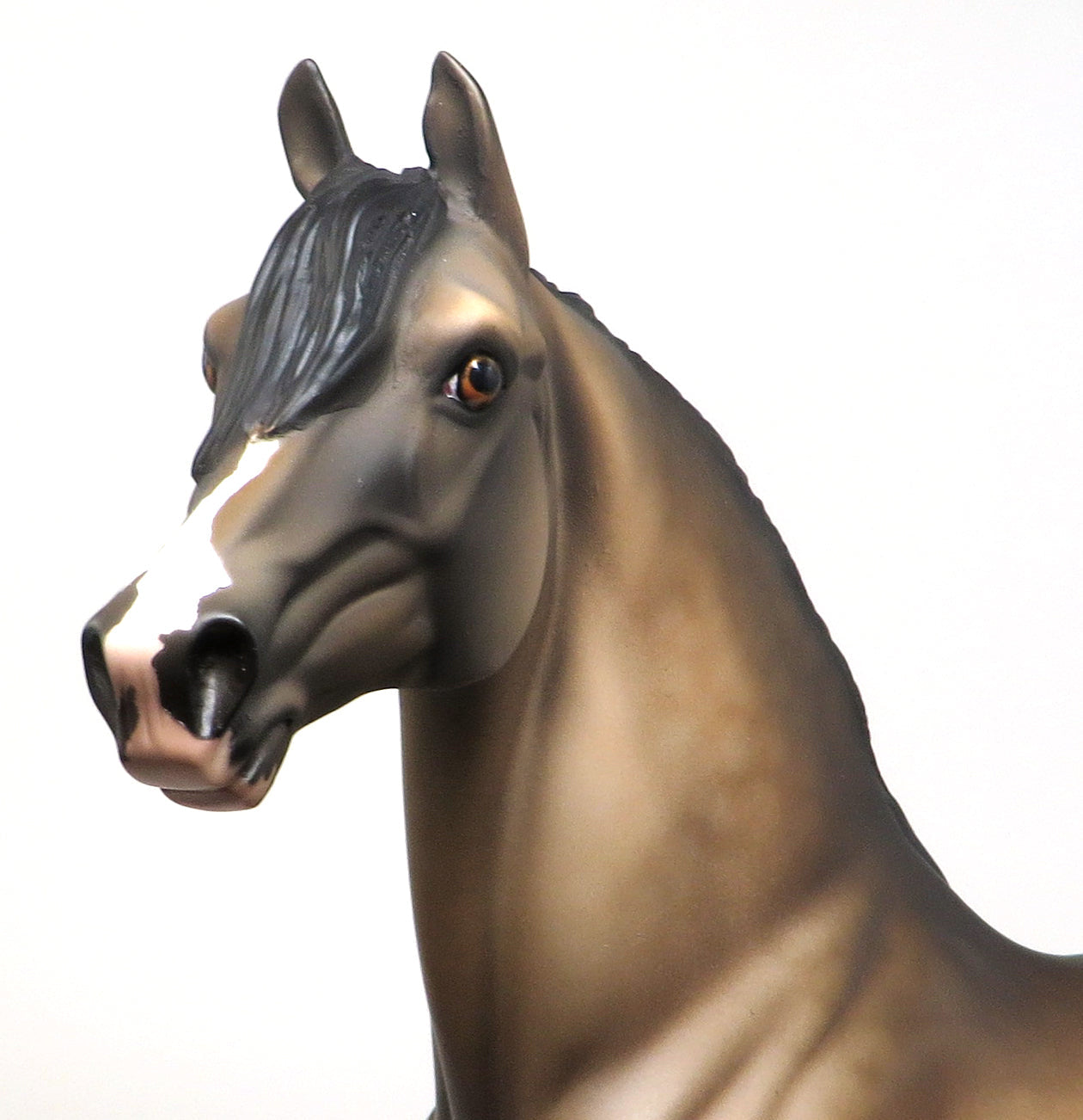 HALSEY - OOAK SOOTY BUCKSKIN MORGAN MODEL HORSE - 1/15