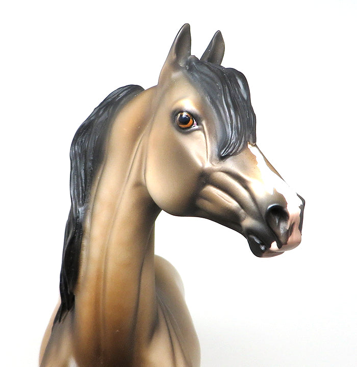 HALSEY - OOAK SOOTY BUCKSKIN MORGAN MODEL HORSE - 1/15