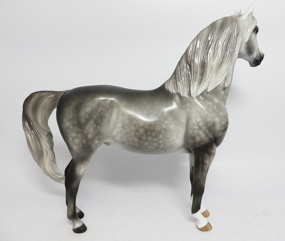 SLINGSHOT-OOAK CUSTOM DAPPLE GREY MORGAN BY SHERYL LEISURE WHS 2017