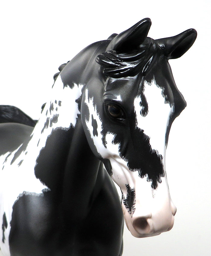 TALENT SEARCH - OOAK BLACK OVERO PALOUSE MODEL HORSE - 1/14