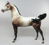 FLIRTATIOUS-OOAK BAY GOING GREY ARABIAN MODEL HORSE 7/8