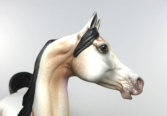 FLIRTATIOUS-OOAK BAY GOING GREY ARABIAN MODEL HORSE 7/8
