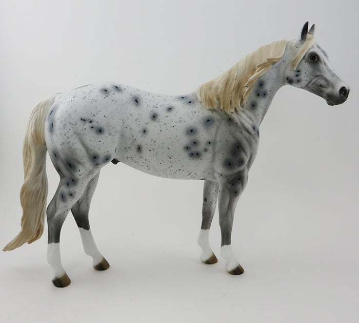 MISTER SPOTS- APPALOOSA-ISH-OOAK-9/25