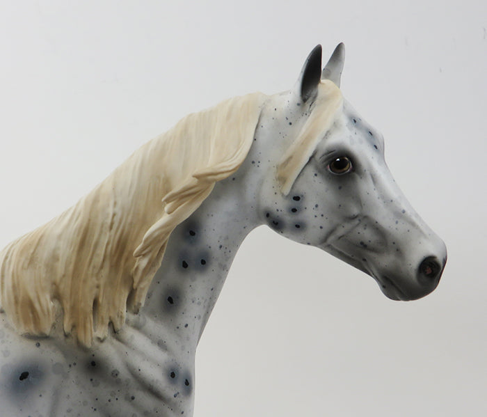 MISTER SPOTS- APPALOOSA-ISH-OOAK-9/25