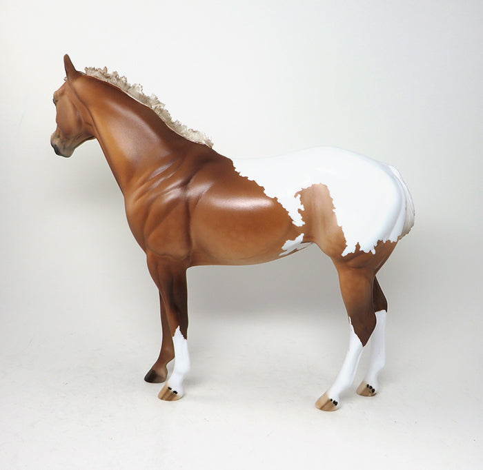 apploosa model horse ziggy stardust
