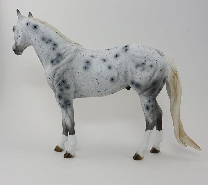 MISTER SPOTS- APPALOOSA-ISH-OOAK-9/25