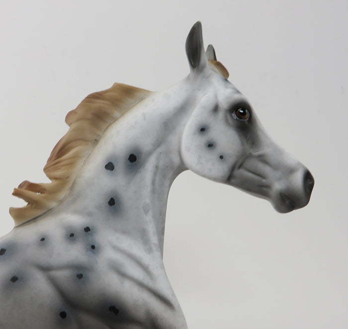 SPOTS THE MATTER - OOAK Appaloosa Yearling Model Horse - 9/25