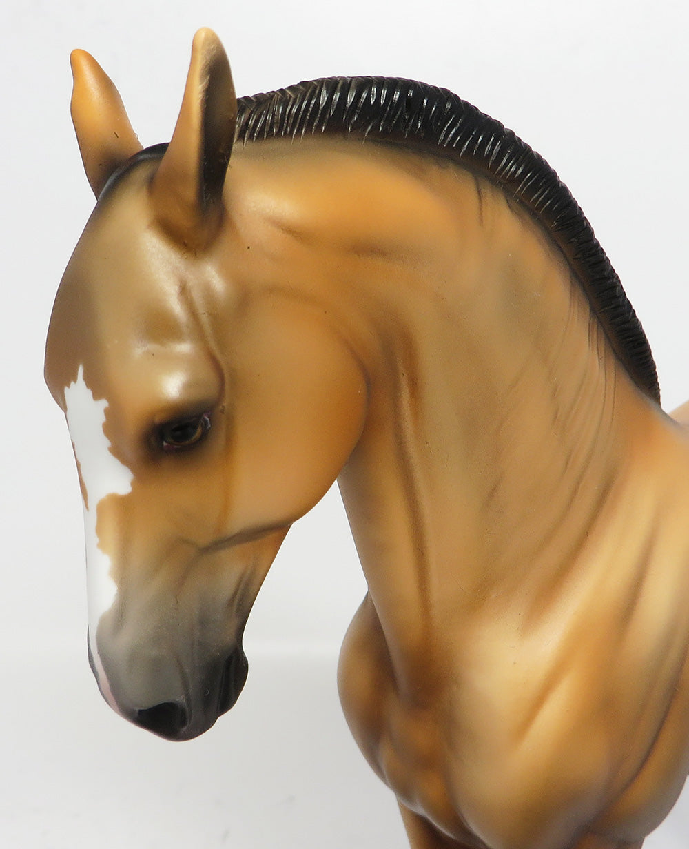 SAHARA-LE.3 SOFT BAY MARE ANDALUSIAN MODEL HORSE 5/23/17