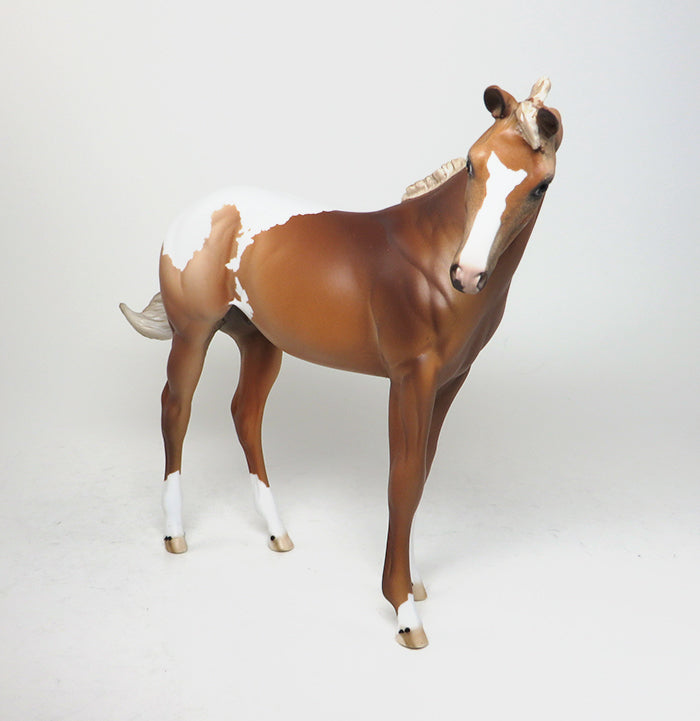 BOWIE - OOAK GOLDEN PALOMINO NO SPOT APPALOOSA WEANLING MODEL HORSE - 1/14
