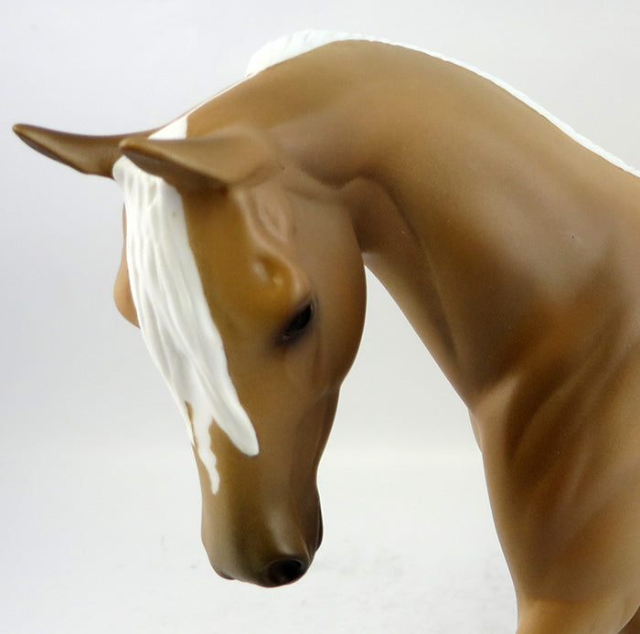 Palomino