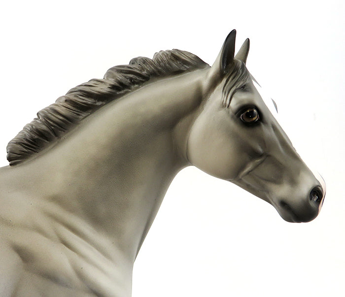 SERGEANT SMOKIN GUN-OOAK-DAPPLE GREY-ISH-  9/25