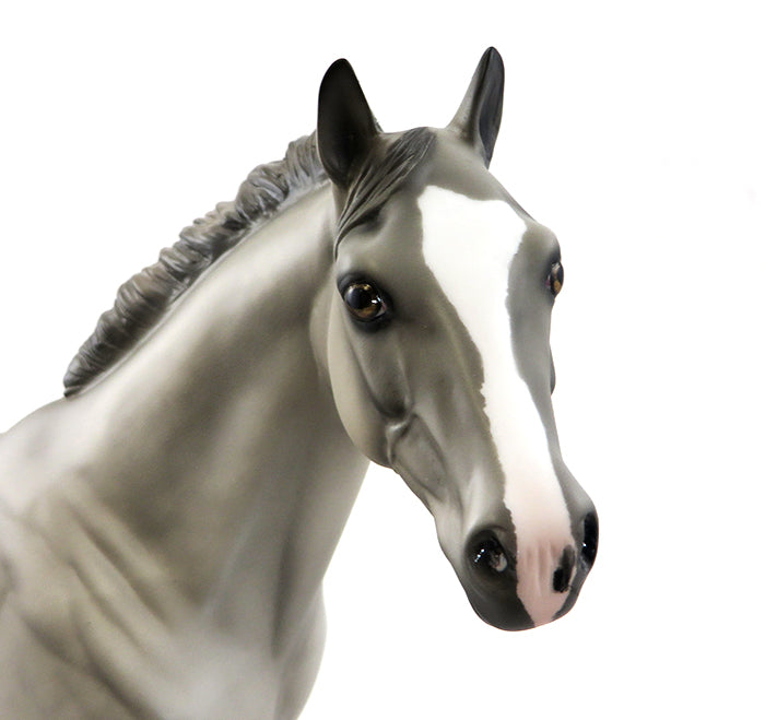 SERGEANT SMOKIN GUN-OOAK-DAPPLE GREY-ISH-  9/25