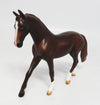 warmblood
