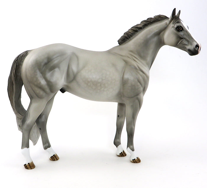 SERGEANT SMOKIN GUN-OOAK-DAPPLE GREY-ISH-  9/25