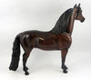 Morgan Horse