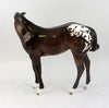 Appaloosa
