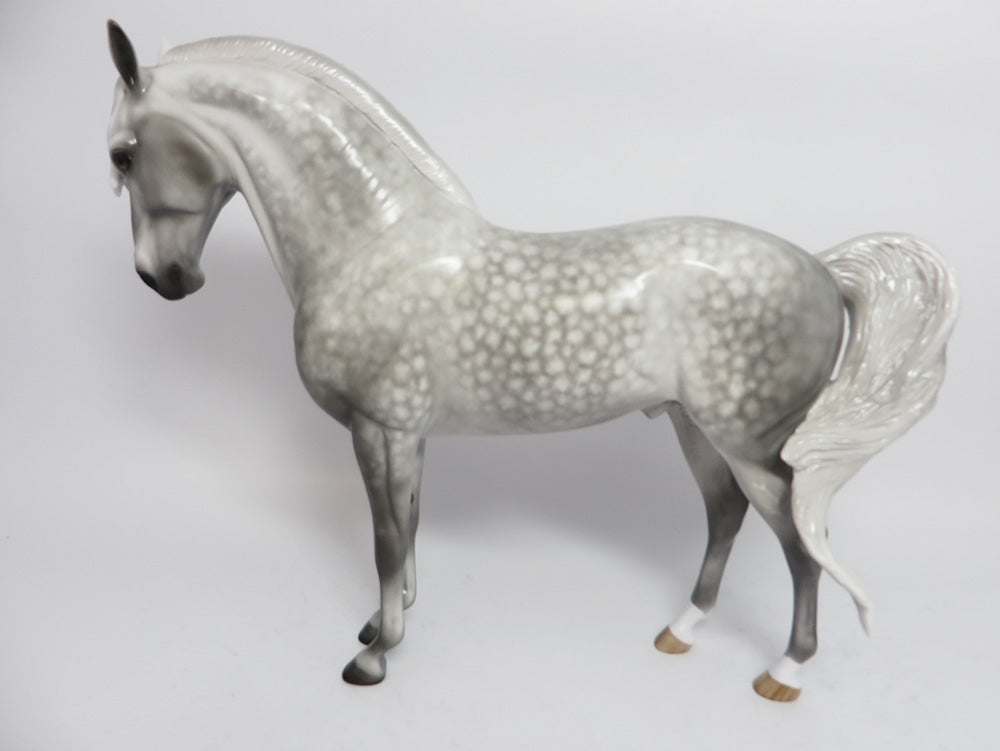 STRATEGO-OOAK CUSTOM LIGHT DAPPLE GREY ANDALUSAIN MODLE HORSE BY SHERYL LEISURE WHS 2017