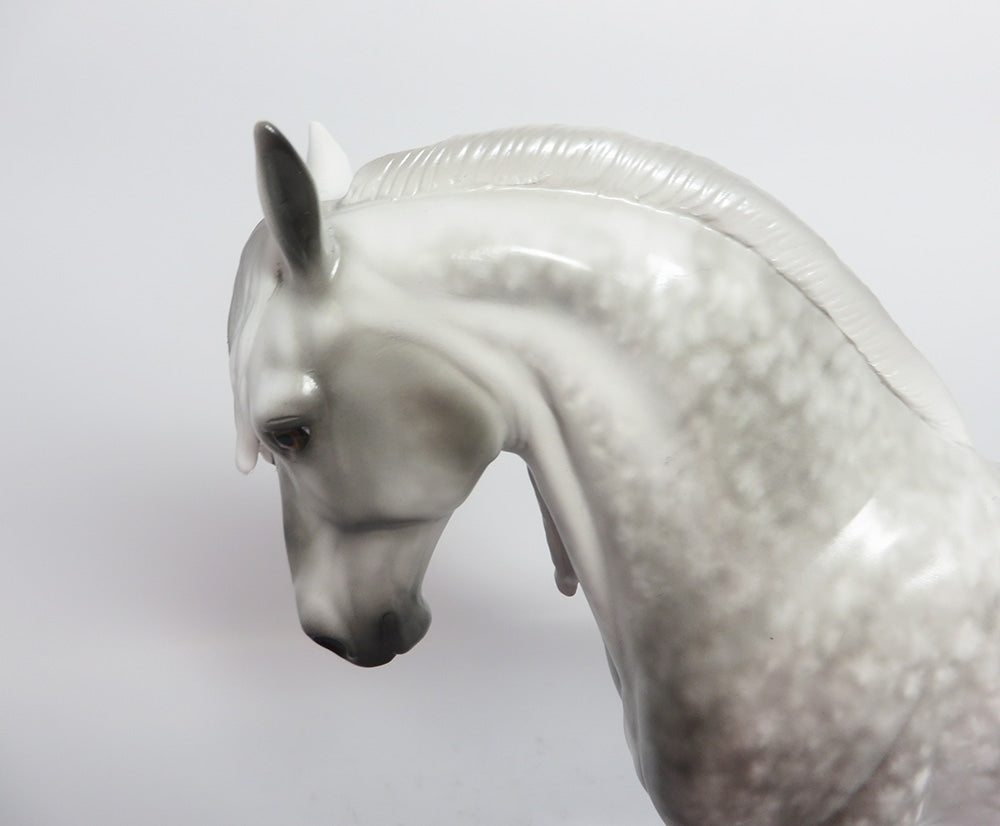 STRATEGO-OOAK CUSTOM LIGHT DAPPLE GREY ANDALUSAIN MODLE HORSE BY SHERYL LEISURE WHS 2017