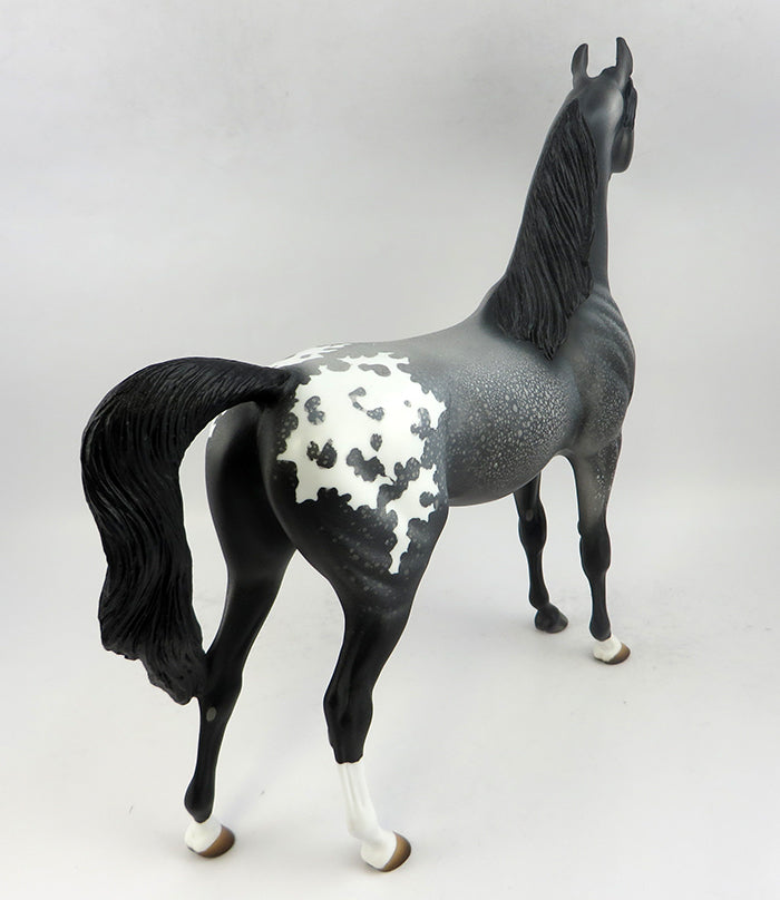 Appaloosa