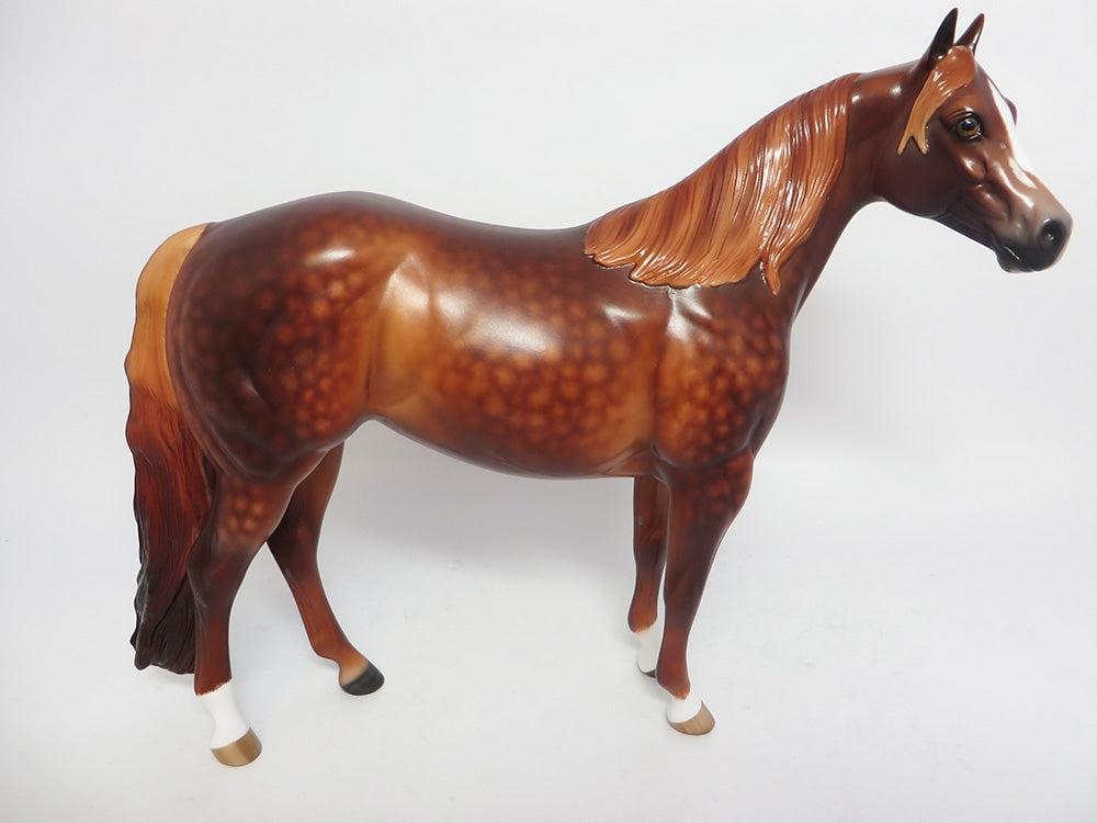 SIZZLER-OOAK CUSTOM DEEP DAPPLE CHESTNUT ISH BY SHERYL LEISURE WHS 2017