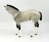 Filly