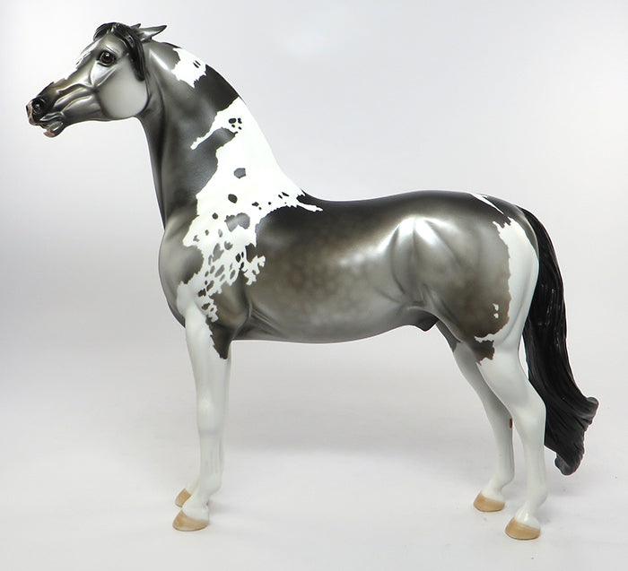 mr. pissy dapple grey 