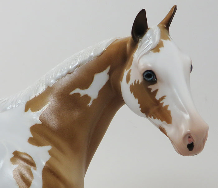 SUNSATIONAL- PALOMINO ISH MARE-OOAK 9/29