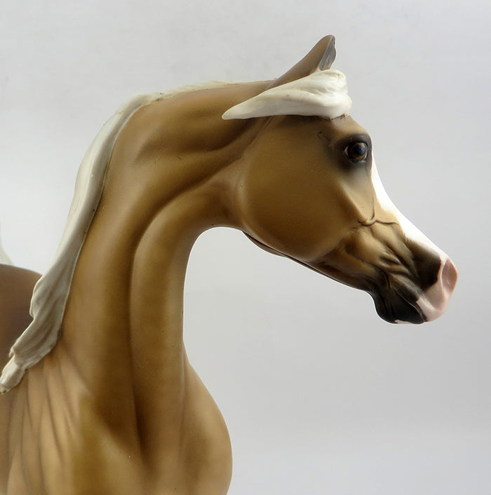 Palomino