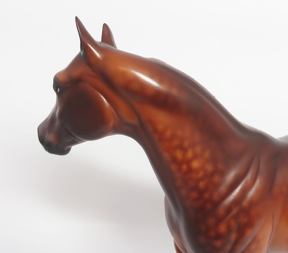 SIZZLER-OOAK CUSTOM DEEP DAPPLE CHESTNUT ISH BY SHERYL LEISURE WHS 2017