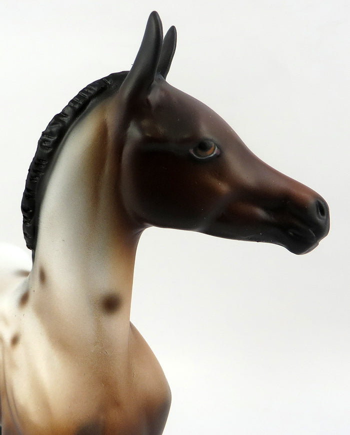 SNICKER DOODLE-LE-3 BAY APPALOOSA FOAL MODEL HORSE 12-15